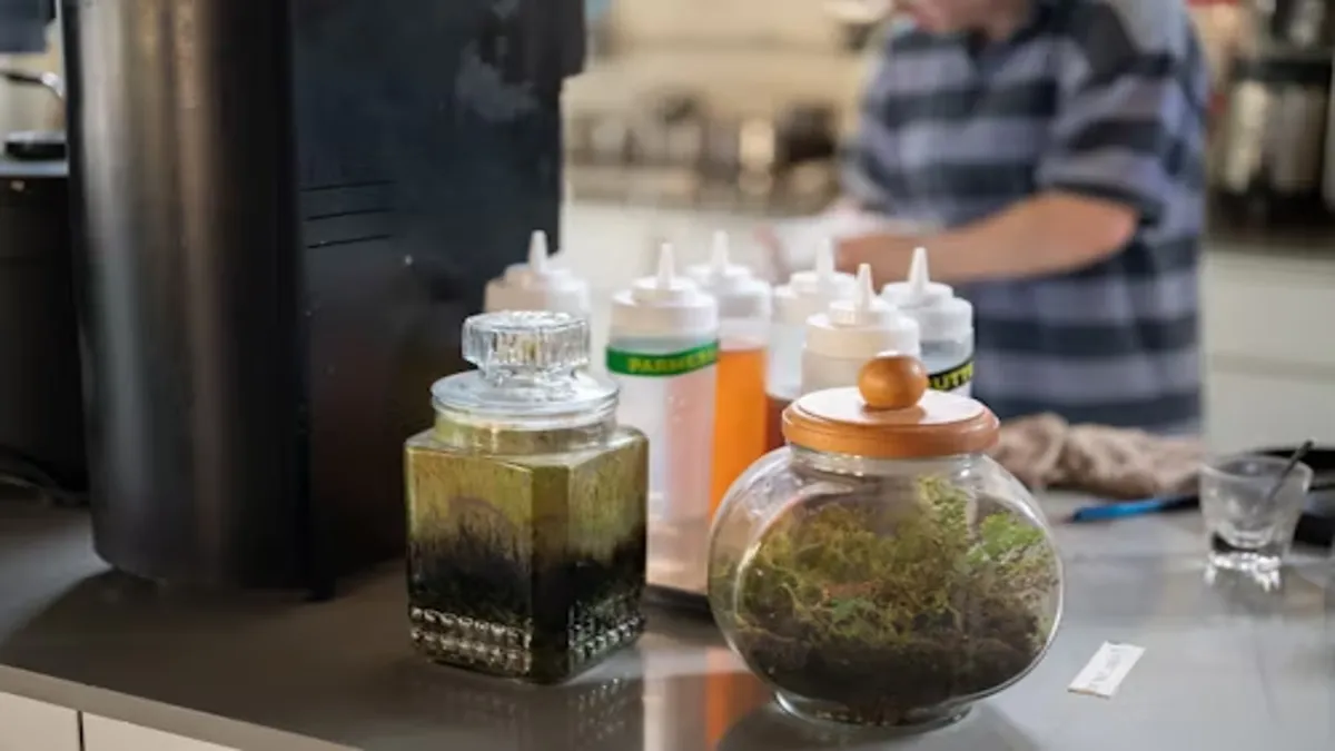 MaryJays DC Weed Dispensary Juice Bar Washington Reviews